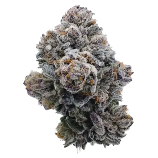 Pink GlitterBomb