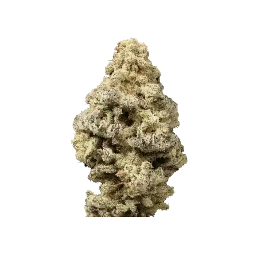 Mac n Cheese Limited Edition