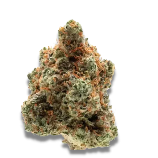 Monkey Glue