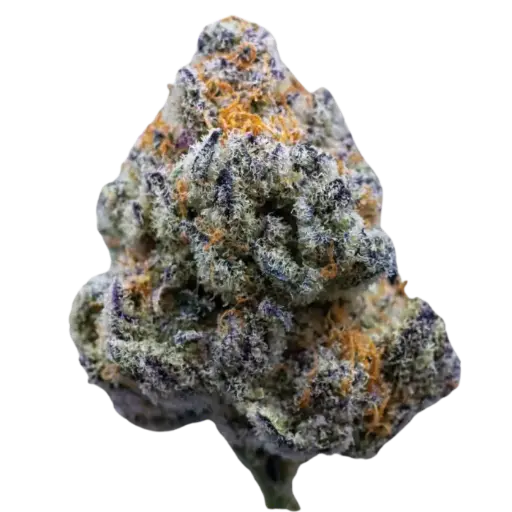 Platinum Mimosa Cookies Fast Version