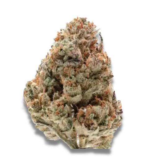 Silvergrape Sherbet