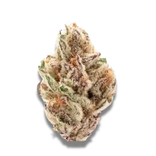 Sour Zkittlez