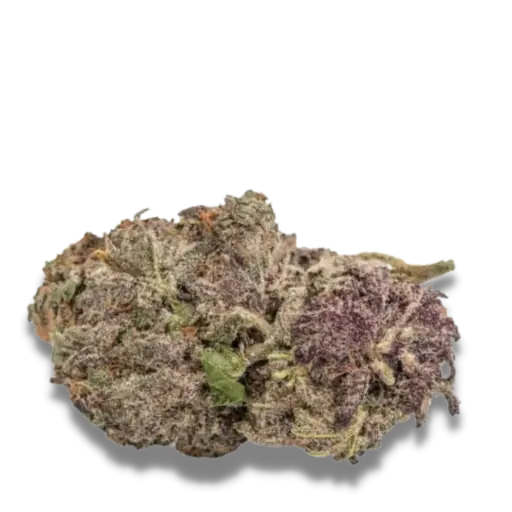 Ultra Violet GMO