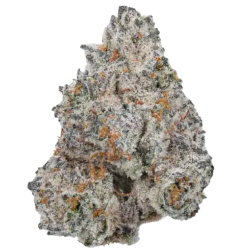 White Truffle Limited Edition